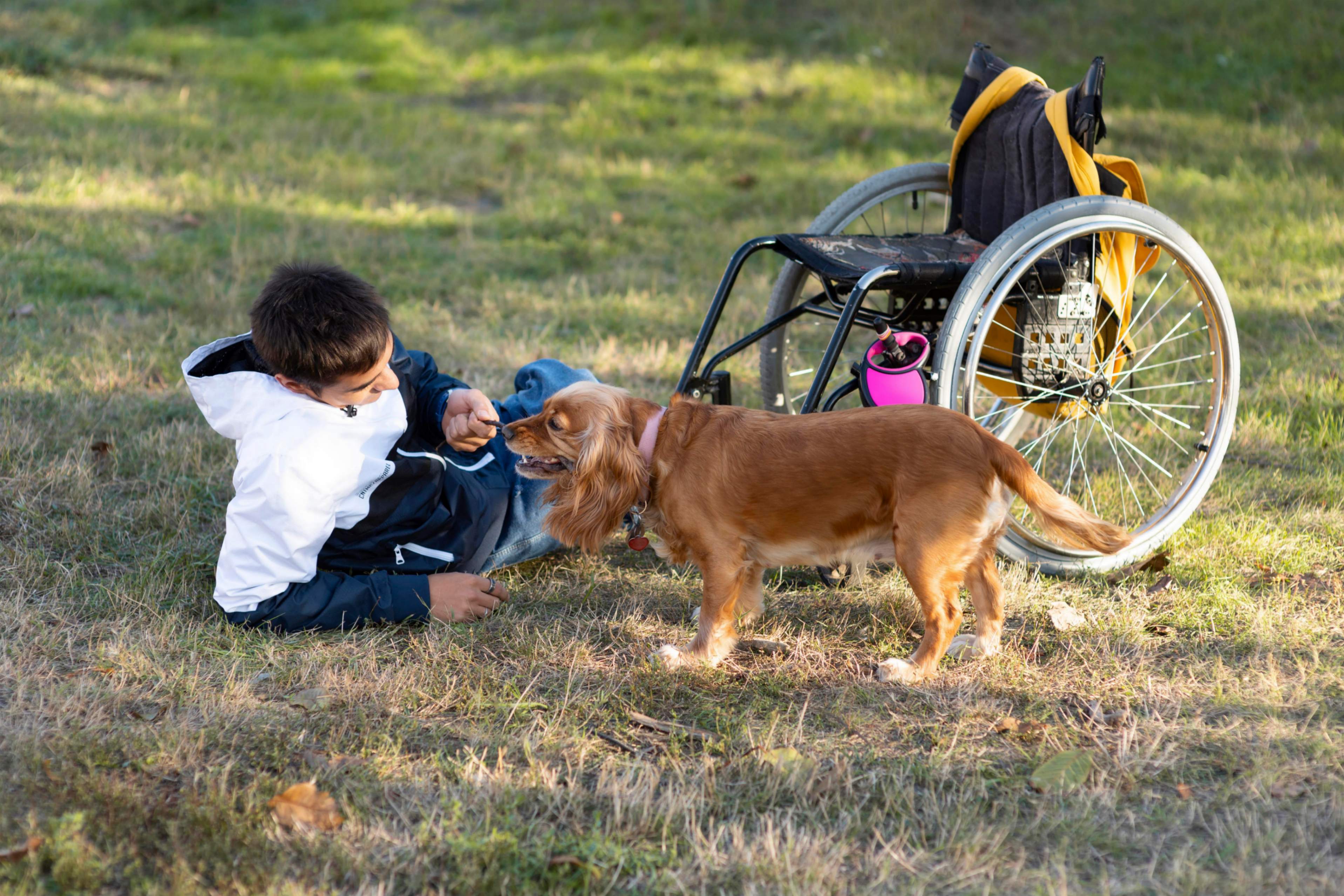 Un garçon avec un handicap moteur allongé sur le gazon joue avec son chien cocker roux