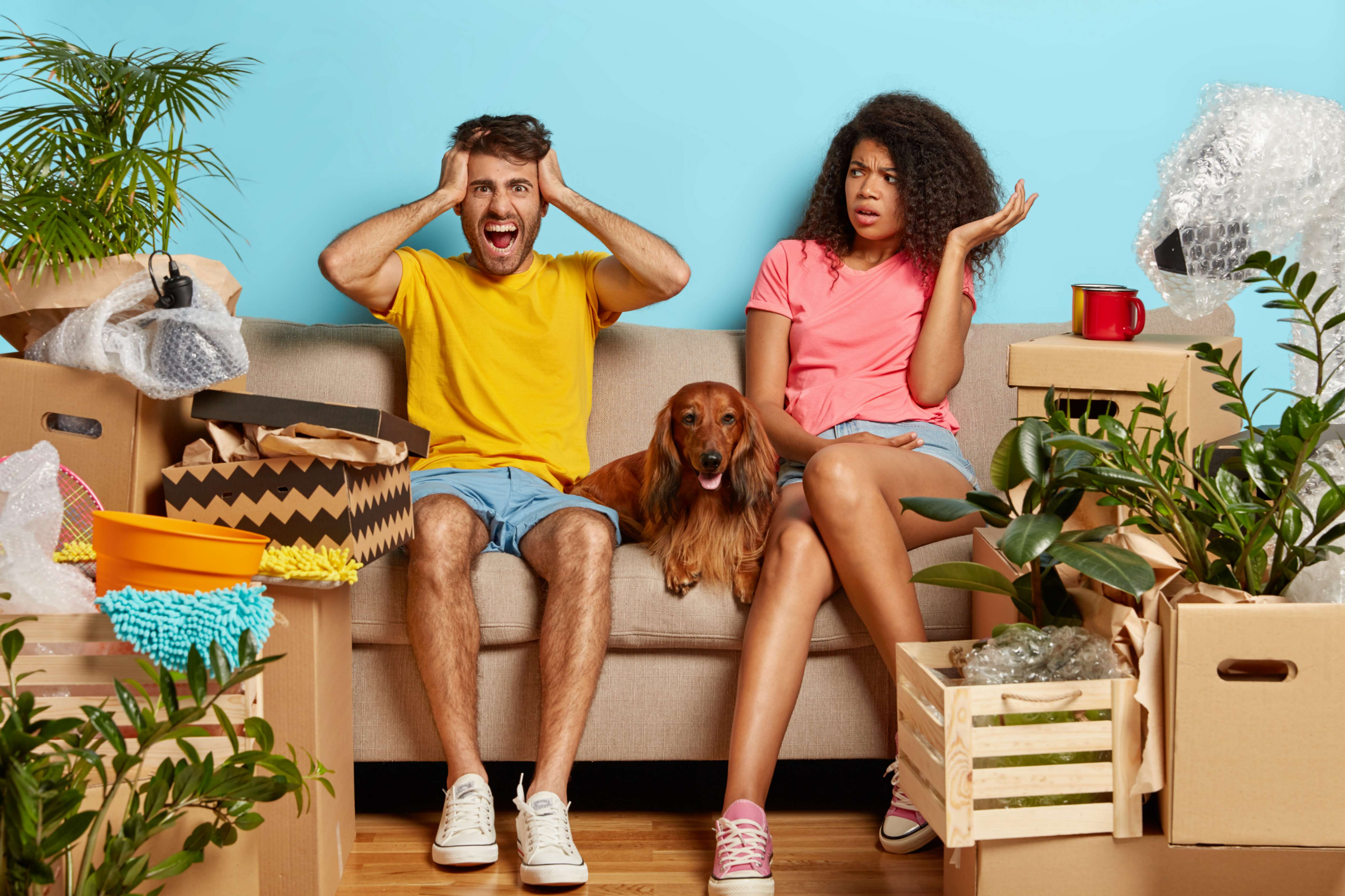 Un couple assis dans leur canapé avec un teckel à poil long roux entre eux deux