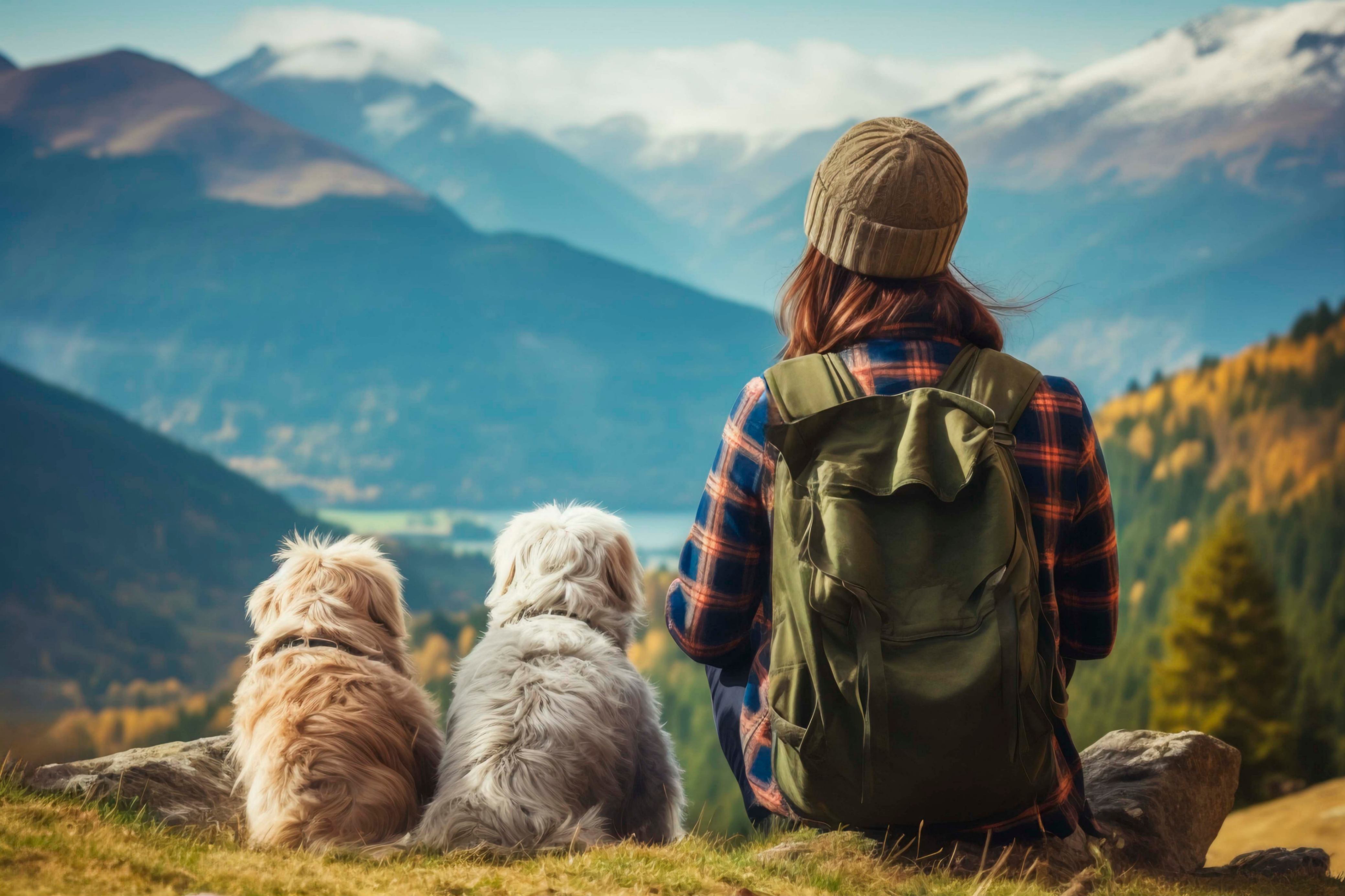 Vue panoramique en montagne lors d'une promenade avec deux chiens