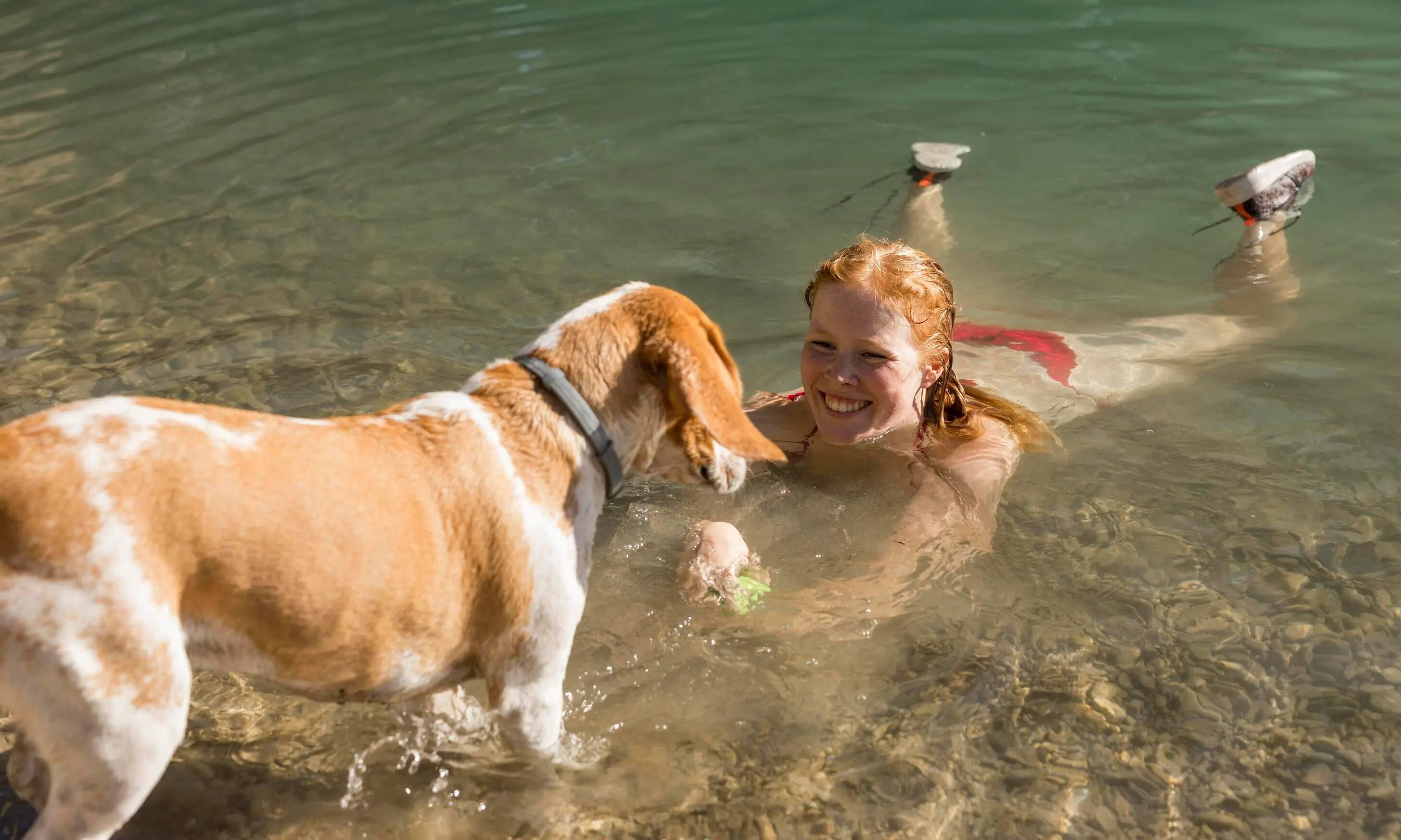 baignade avec son chien dans un lac plus le jeux avec la balle