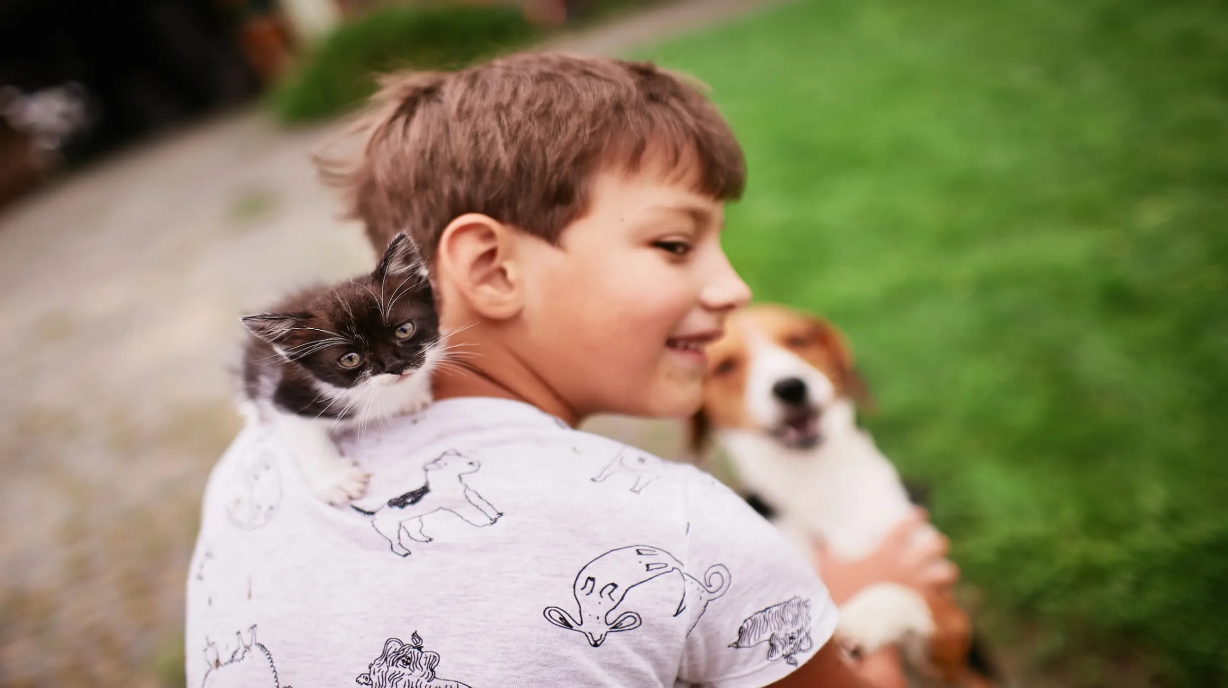 un garçon avec ses chatons sort d'un refuge