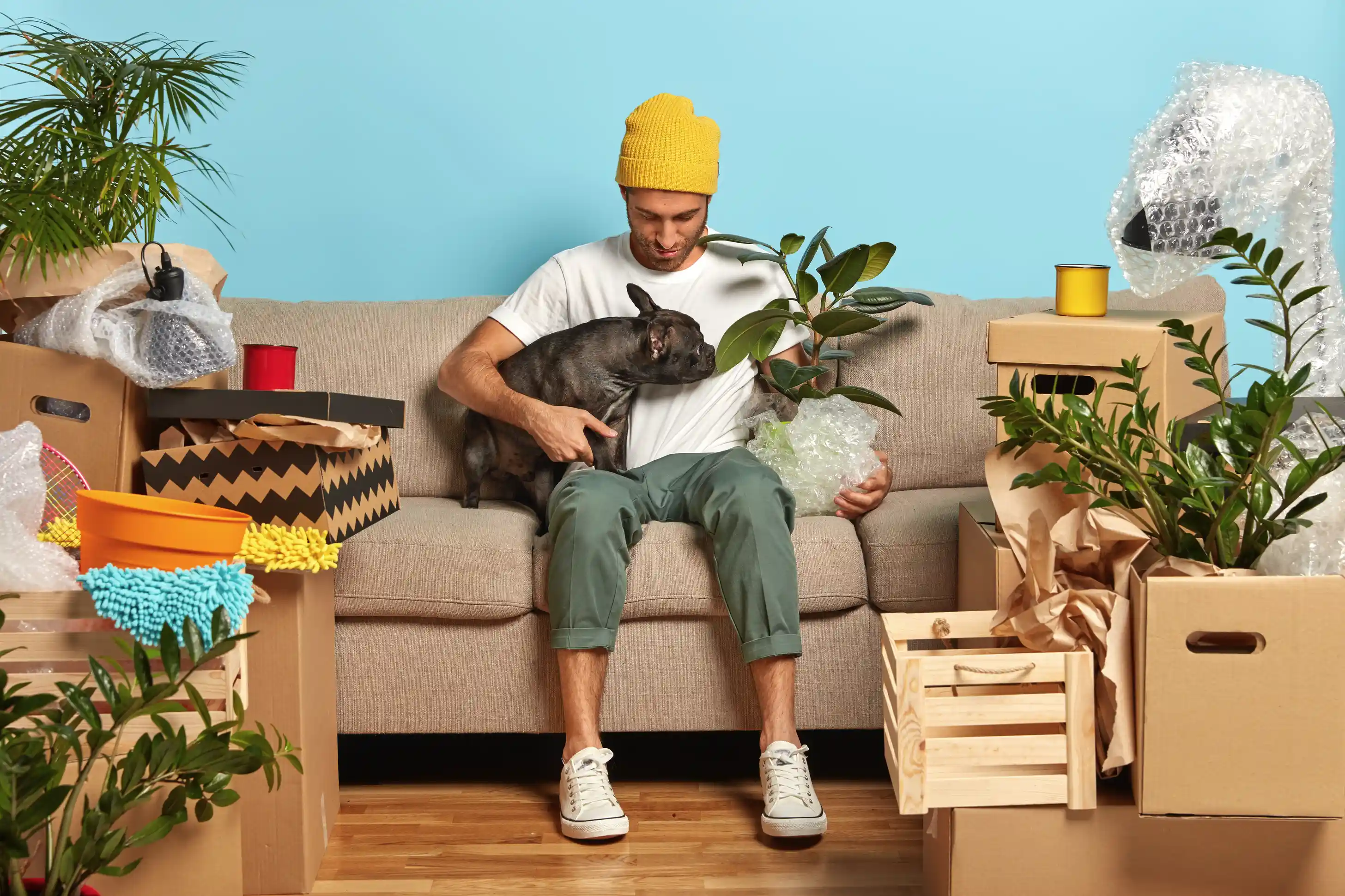 déménagement est une source de stress chez nos animaux