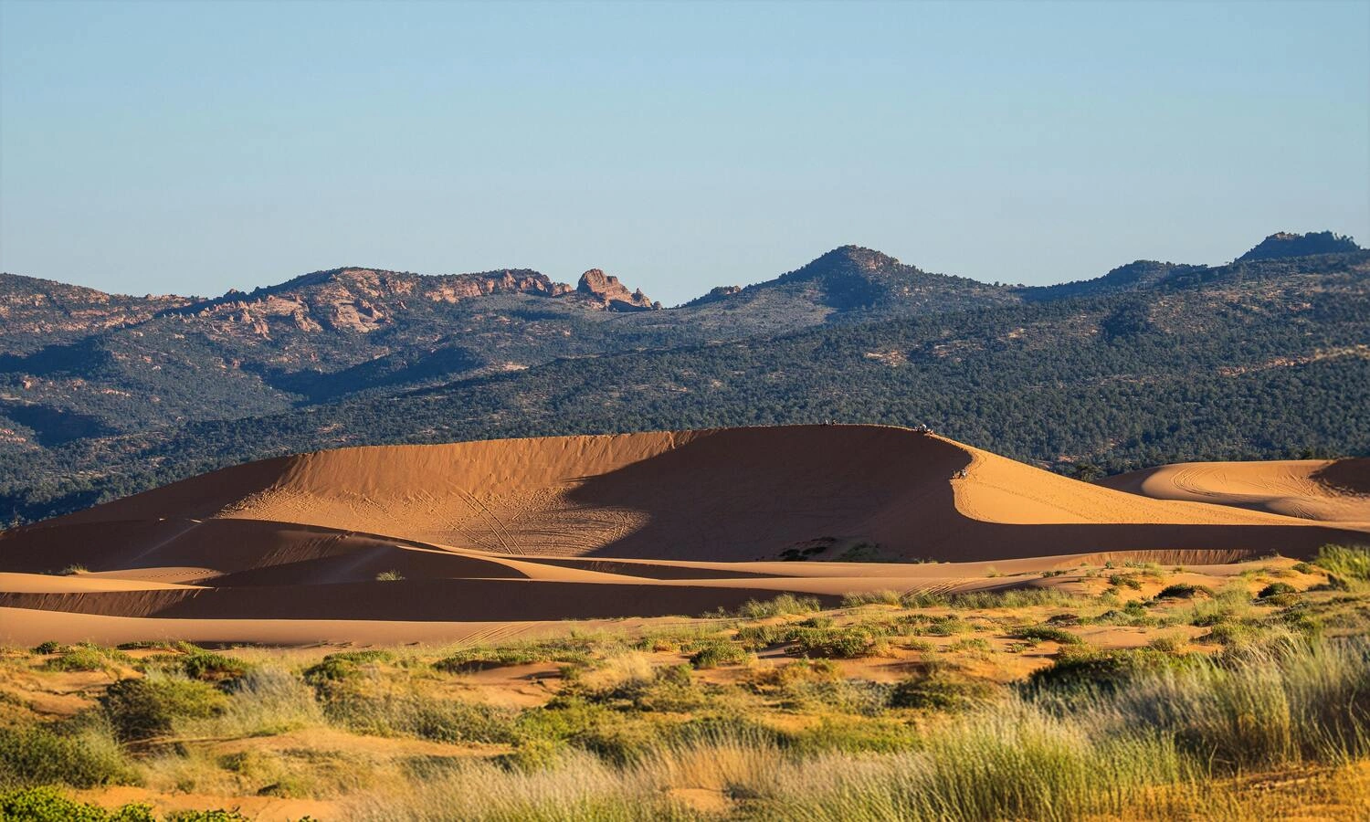 March is the Sweet Spot for US Travel