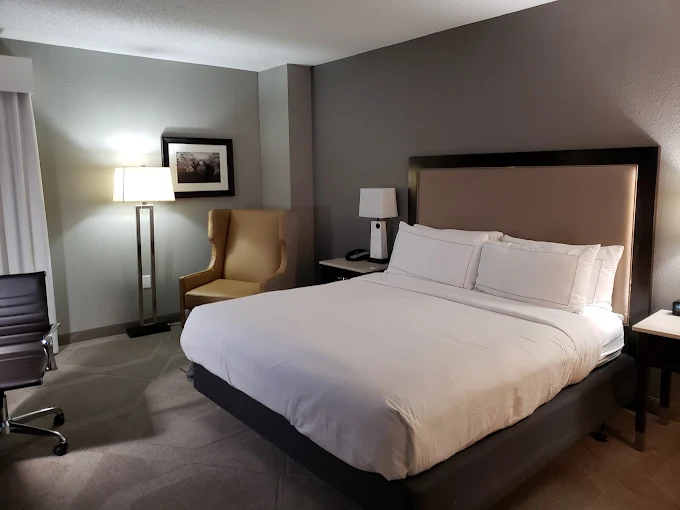 Rooms and Suites: Cozy Corners with Longhorn Swagger