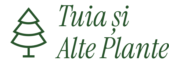Logo with a stylized pine tree icon and the text 'Tuia și Alte Plante' in green cursive font.