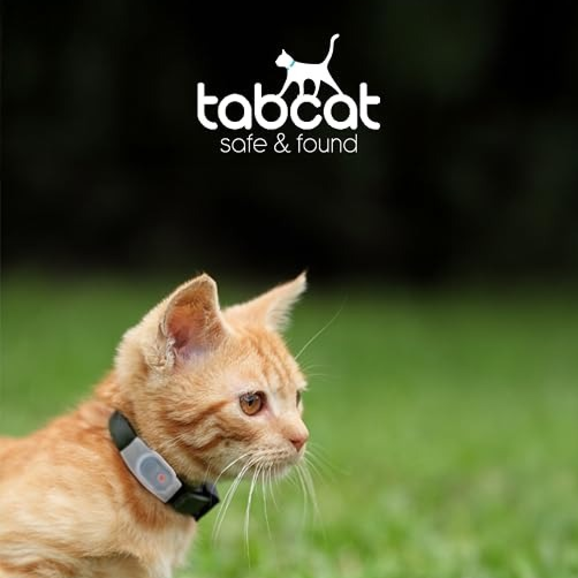 Tabcat