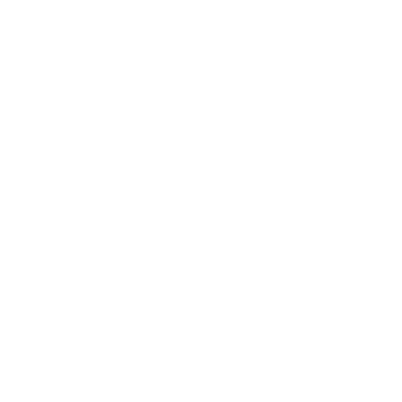 FAA's logo