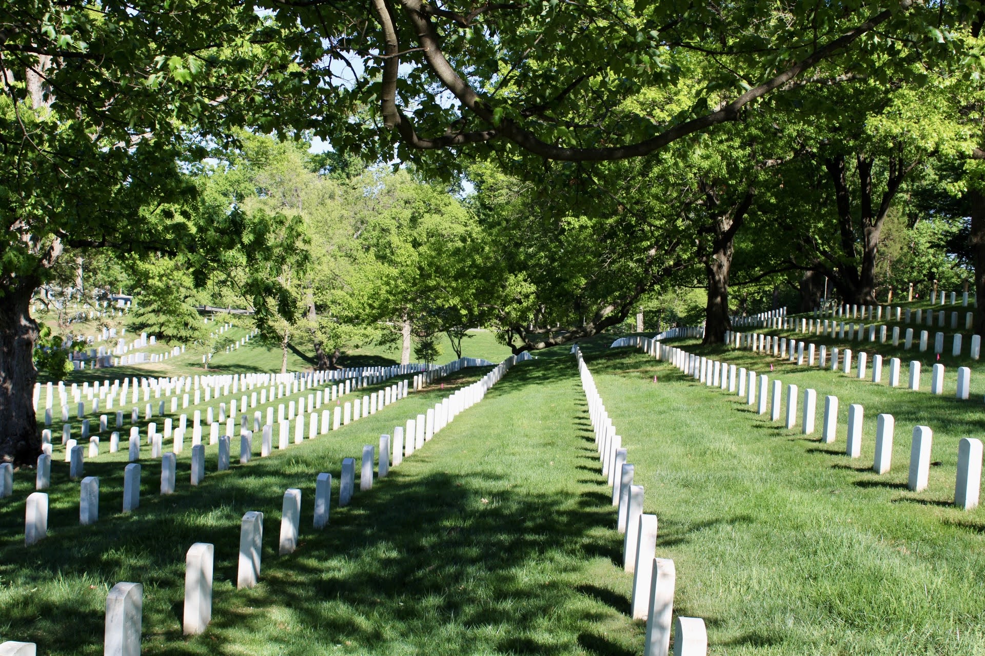 Walnut Springs Washington DC