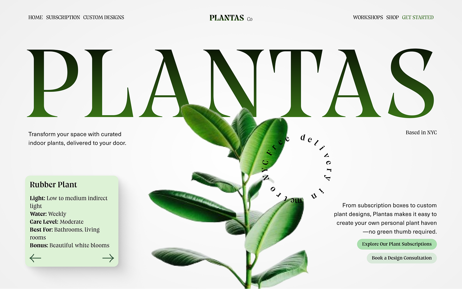 Rubber Plant with care details and text promoting Plantas indoor plant subscriptions and custom designs with free NYC delivery.