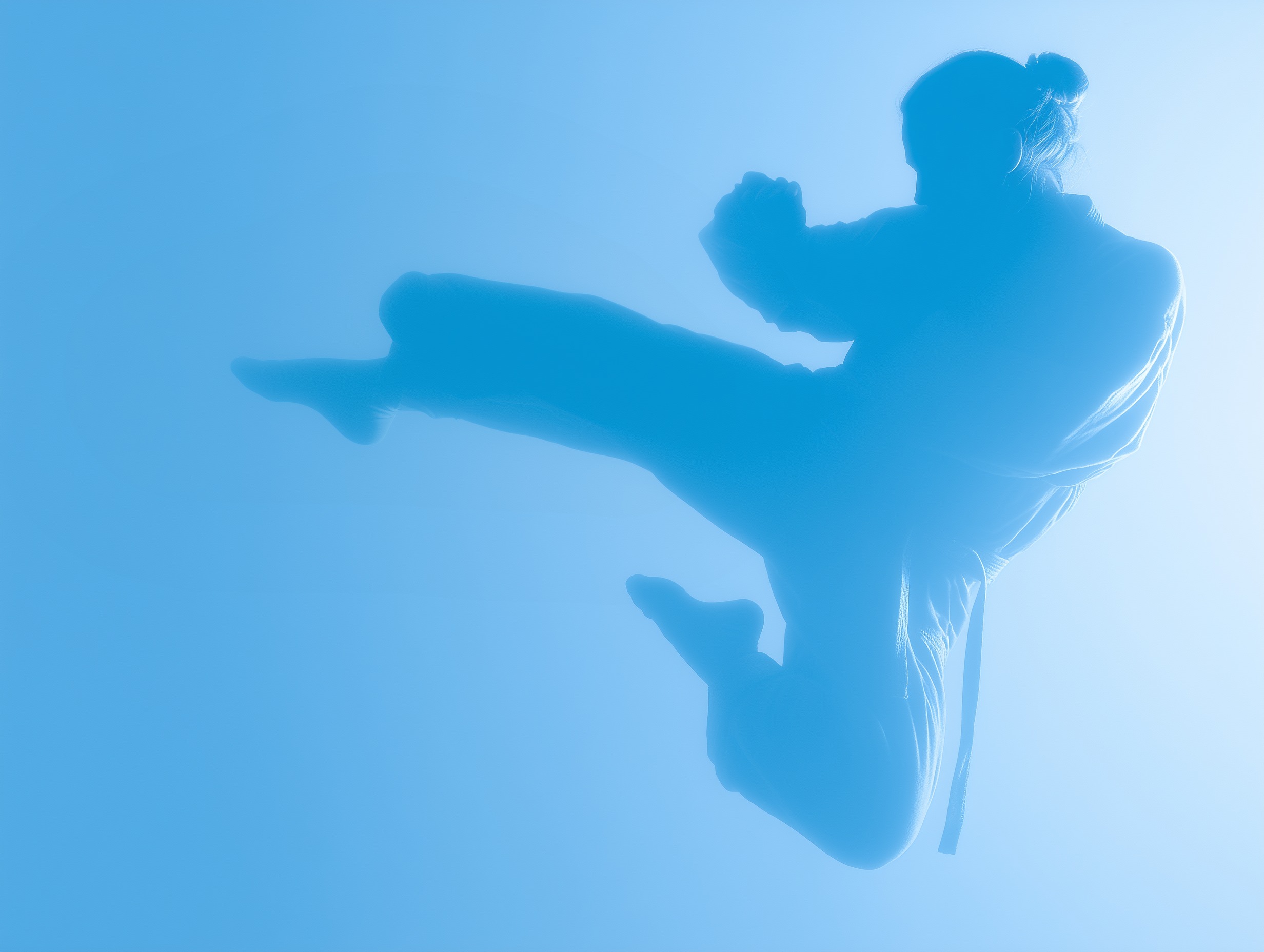 Silhouette of a person performing a high kick against an orange-red background.