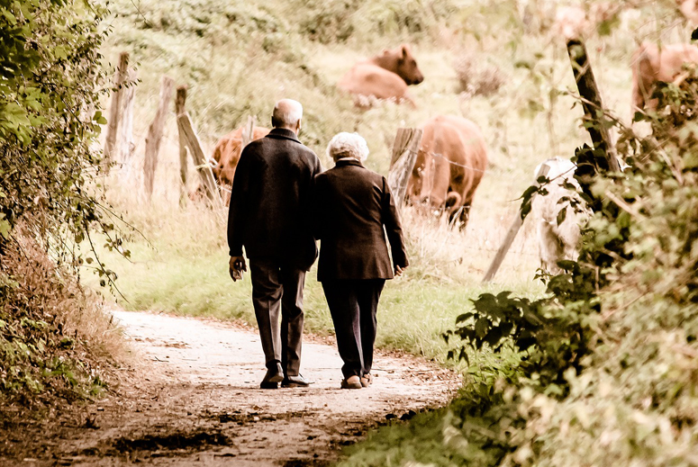 Older couple walking hand in hand along a woodland path