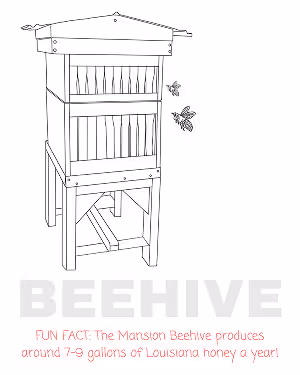 Line drawing of a wooden beehive with three bees flying near it and text about honey production below.