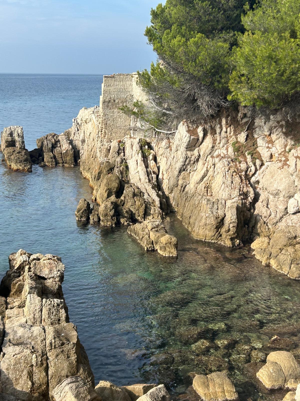 Crique privée juste à côté de l'appartement.