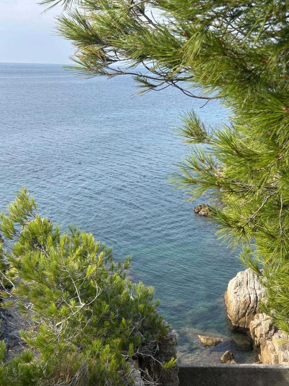 Crique privée située juste à côté de l'appartement.