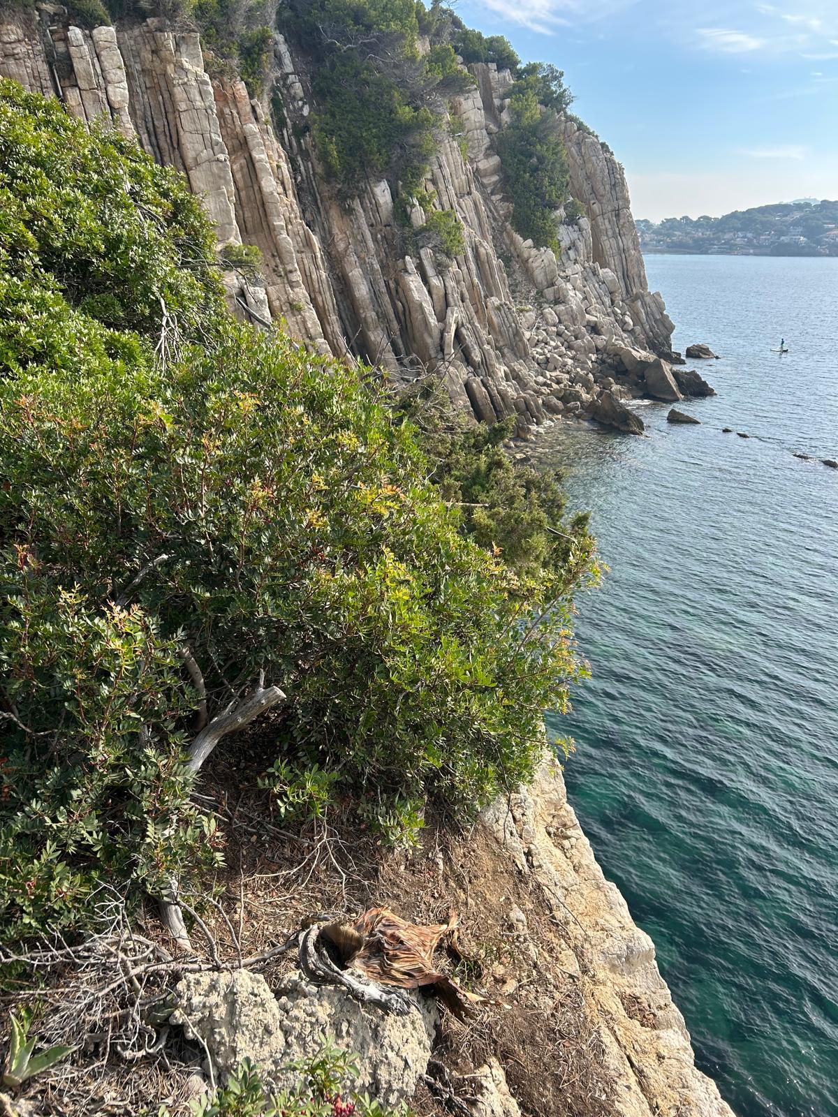 Crique privée située juste à côté de l'appartement.