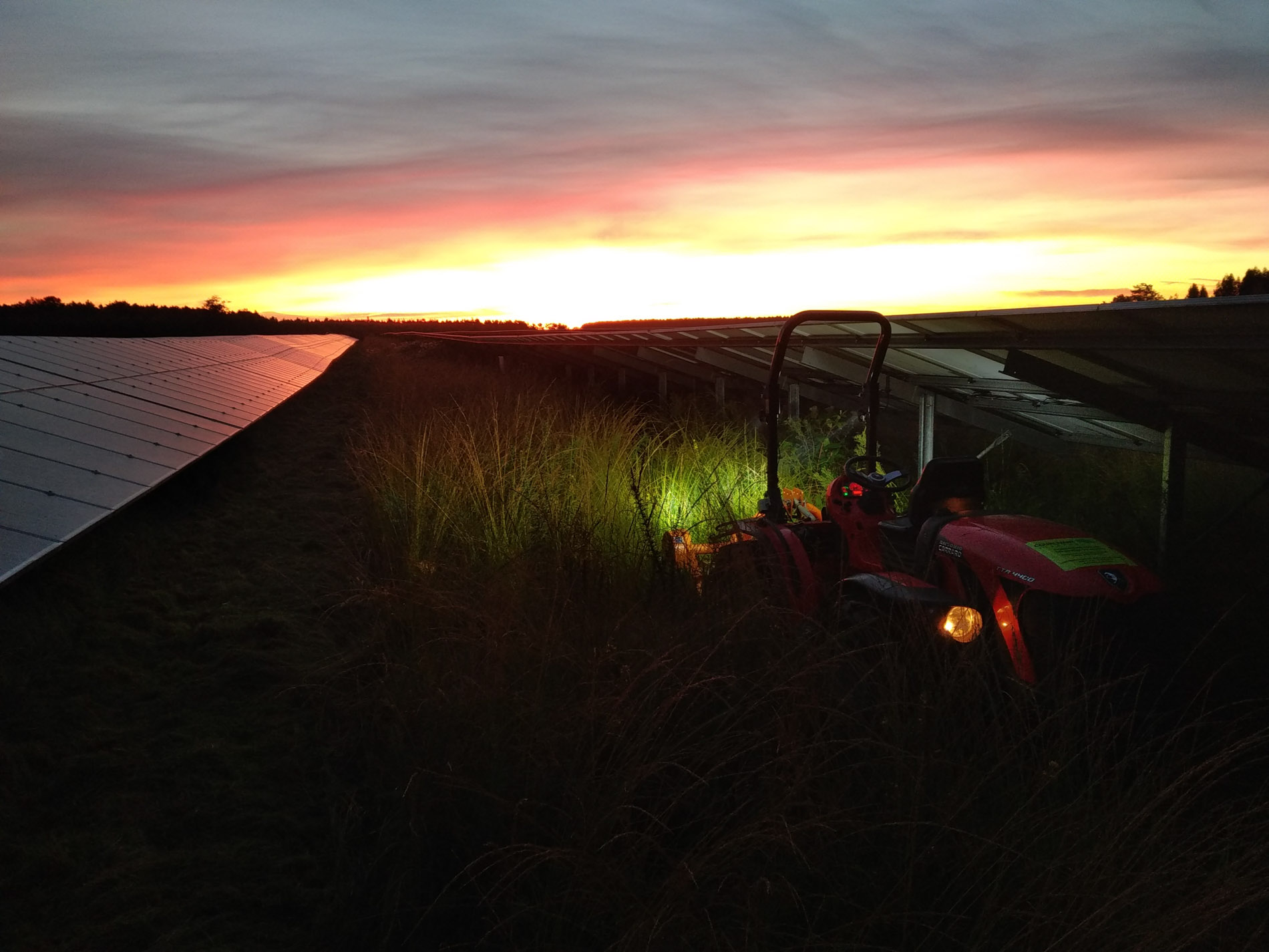Entretien et déserhebage de par photovoltaïque par Chiron Paysage, Entretien & aménagement d’espaces verts - Deux-Sèvres & Vienne
