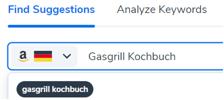 Helium 10 Magnet Keyword Gasgrill Kochbuch