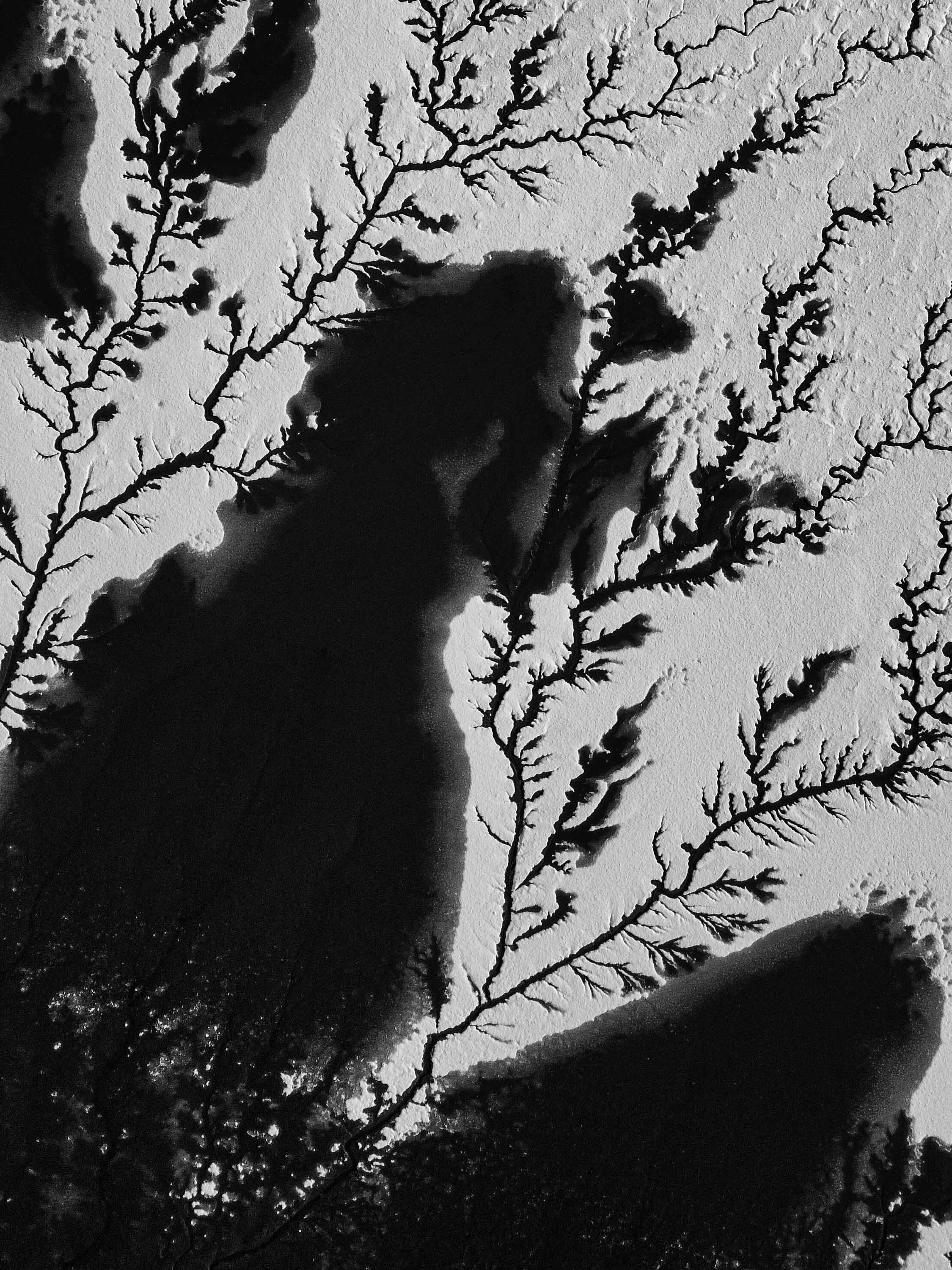 Black and white aerial view of branching waterways or river deltas surrounded by land or ice.