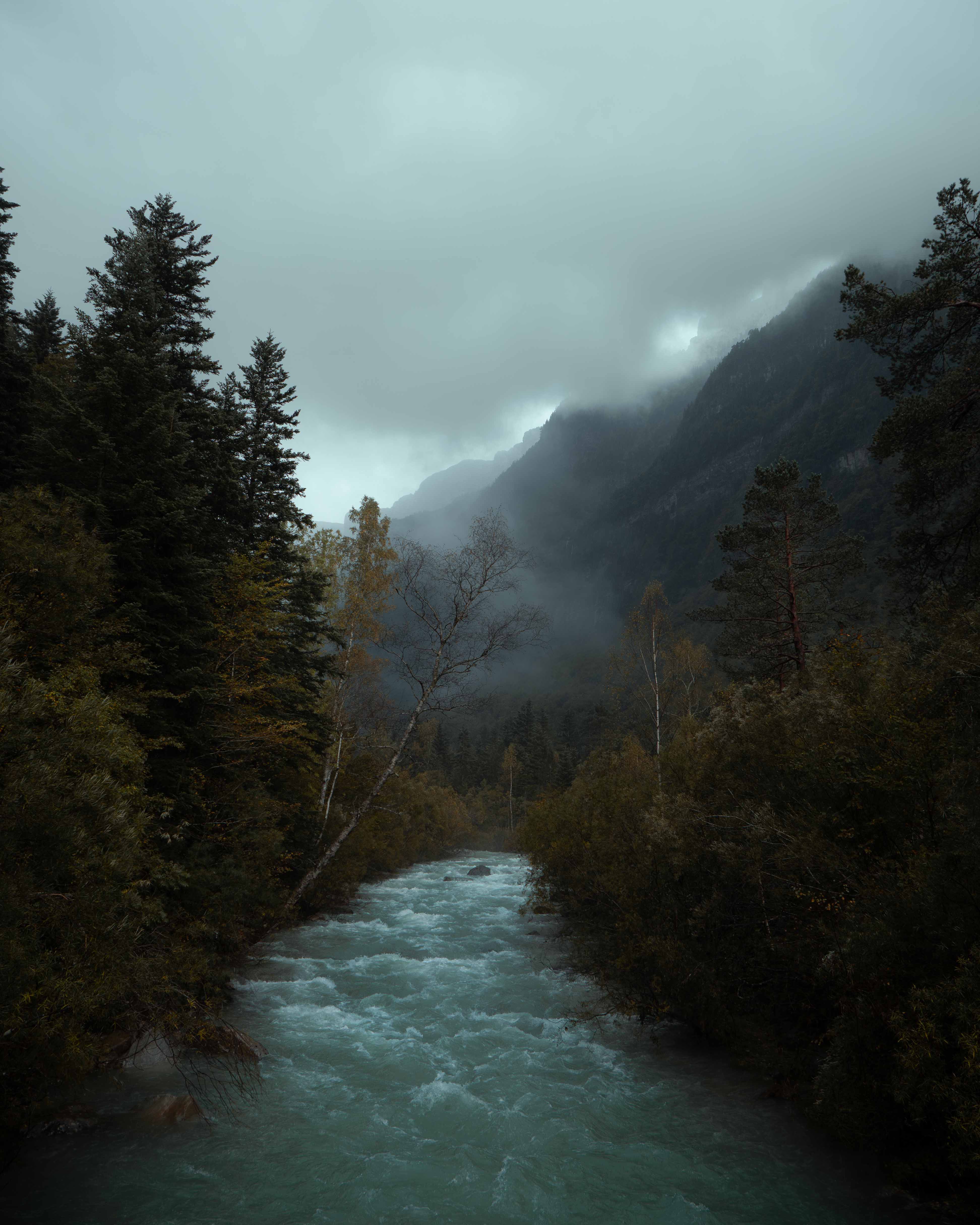 Fast-flowing river surrounded by dense trees with misty mountains and low clouds in the background.