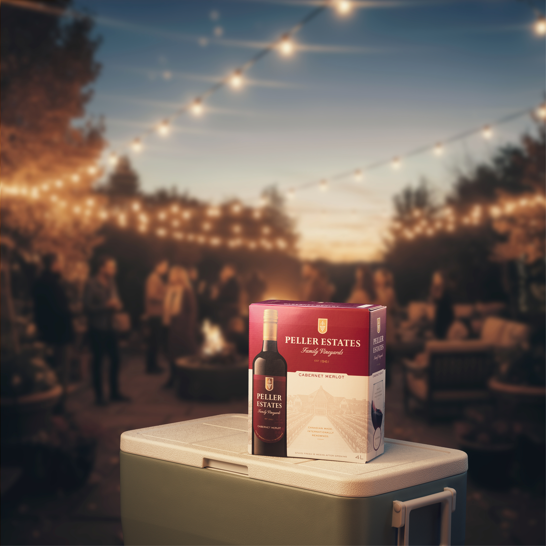 Peller Estates wine box sitting on top of a cooler at a backyard gathering.