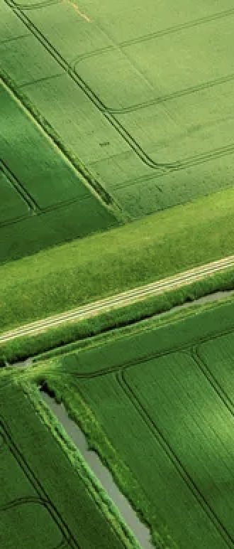 Icône accompagnement-1