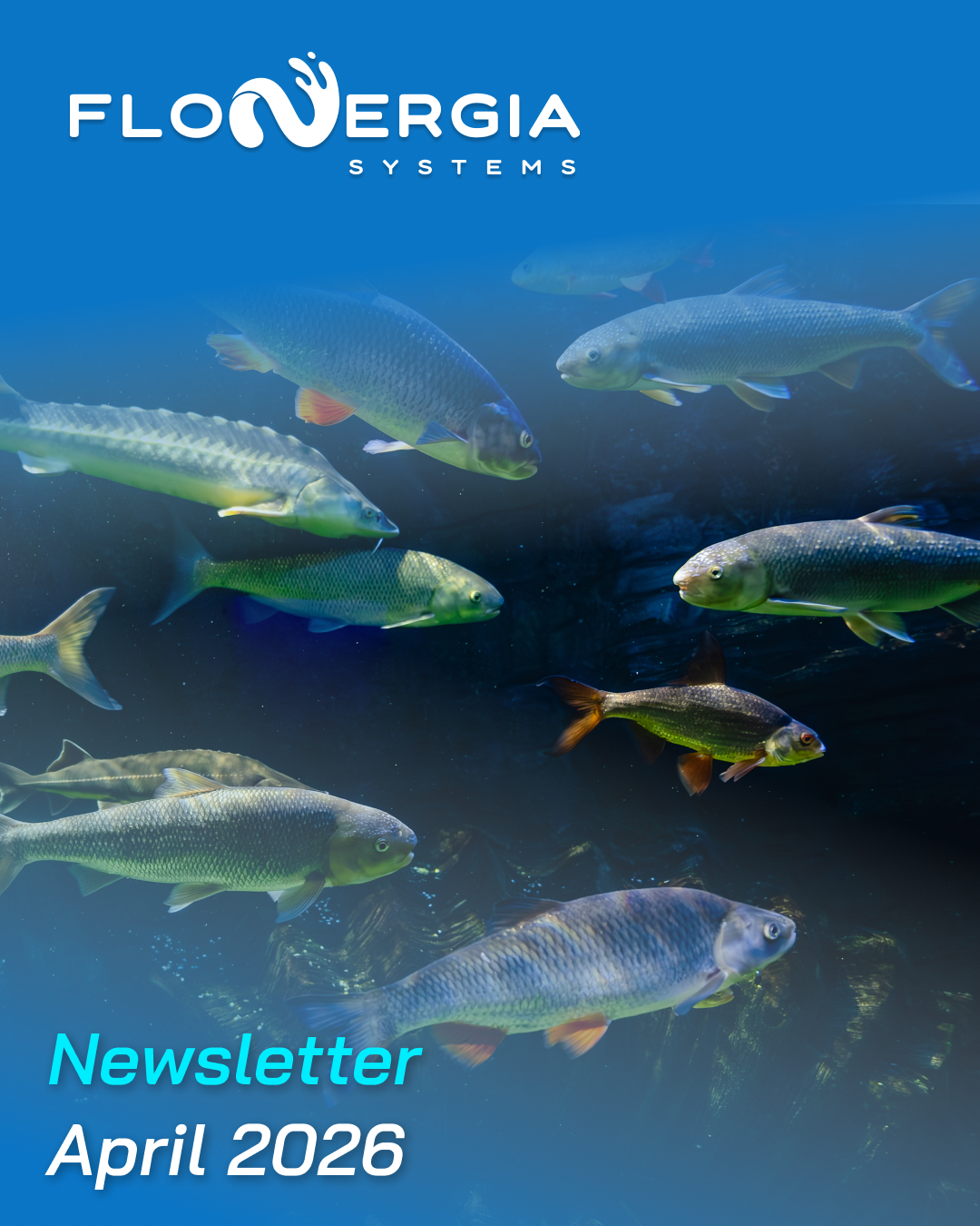 FloMov™ technology evaluation report cover for CO₂ stripping performance.