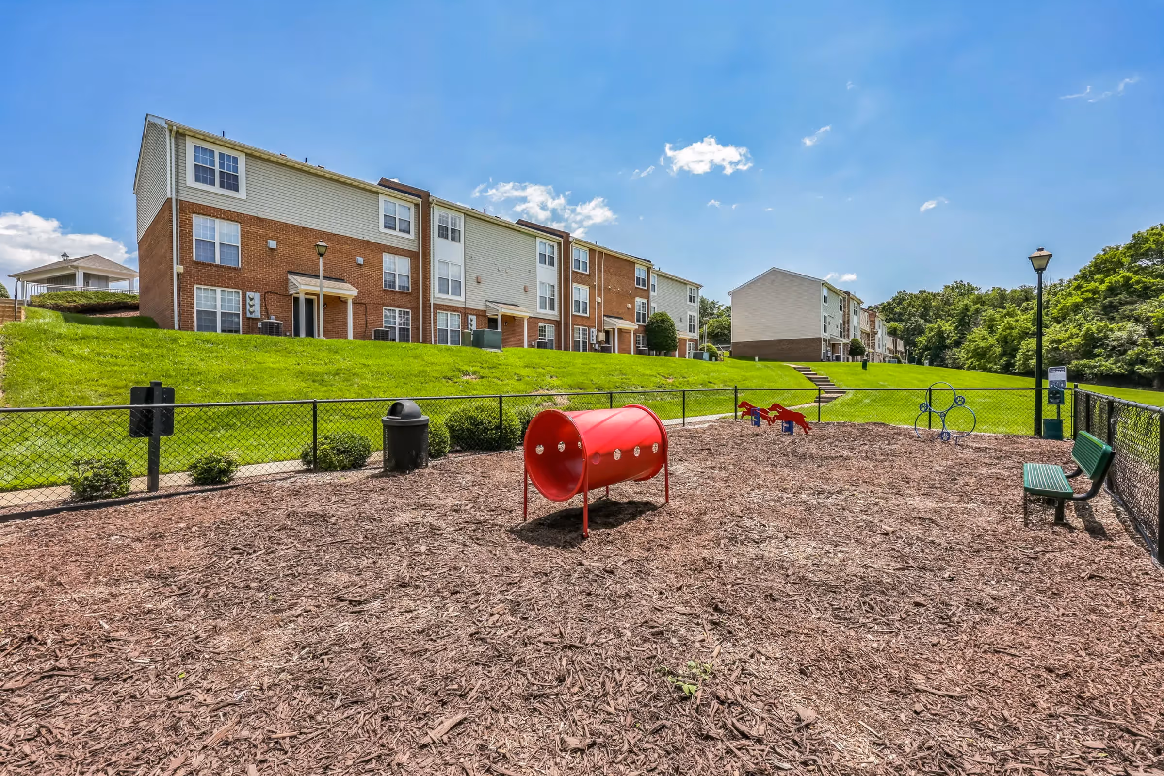 dog park with agility equipment