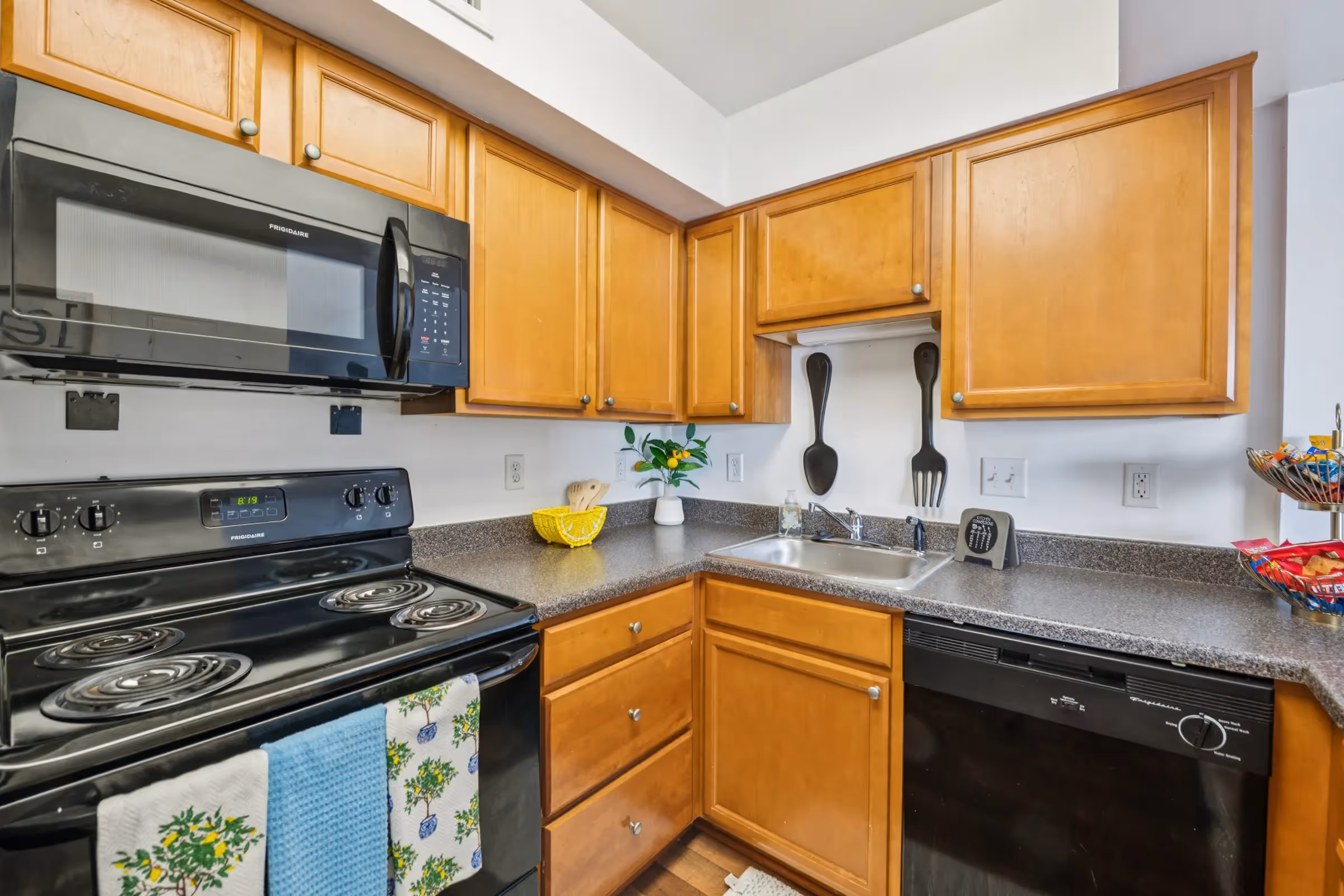 kitchen with black appliances