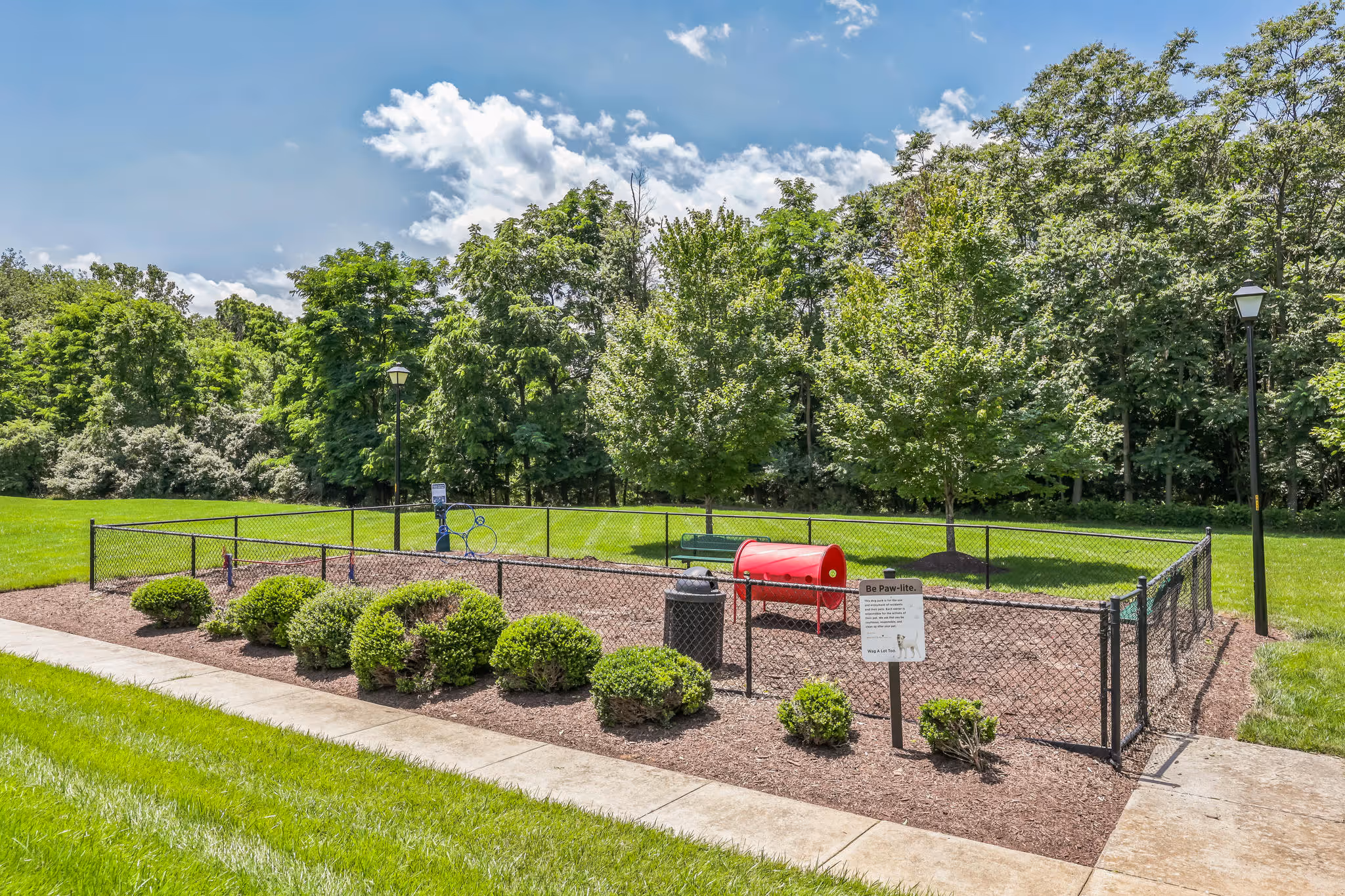 Dog park with agility course