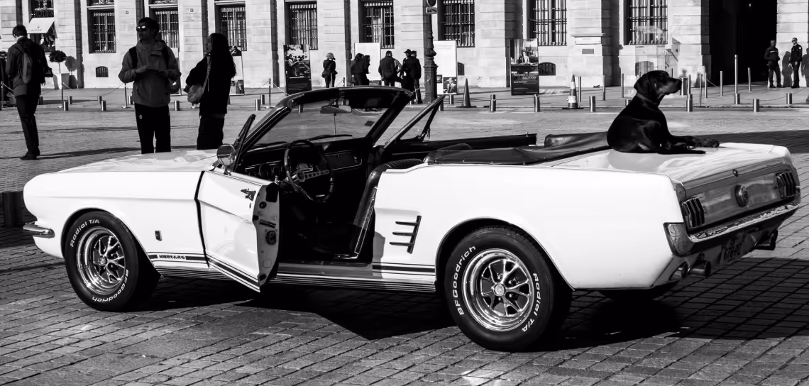 White classic convertible car with the driver-side door open and a black dog sitting on the trunk in a city square.