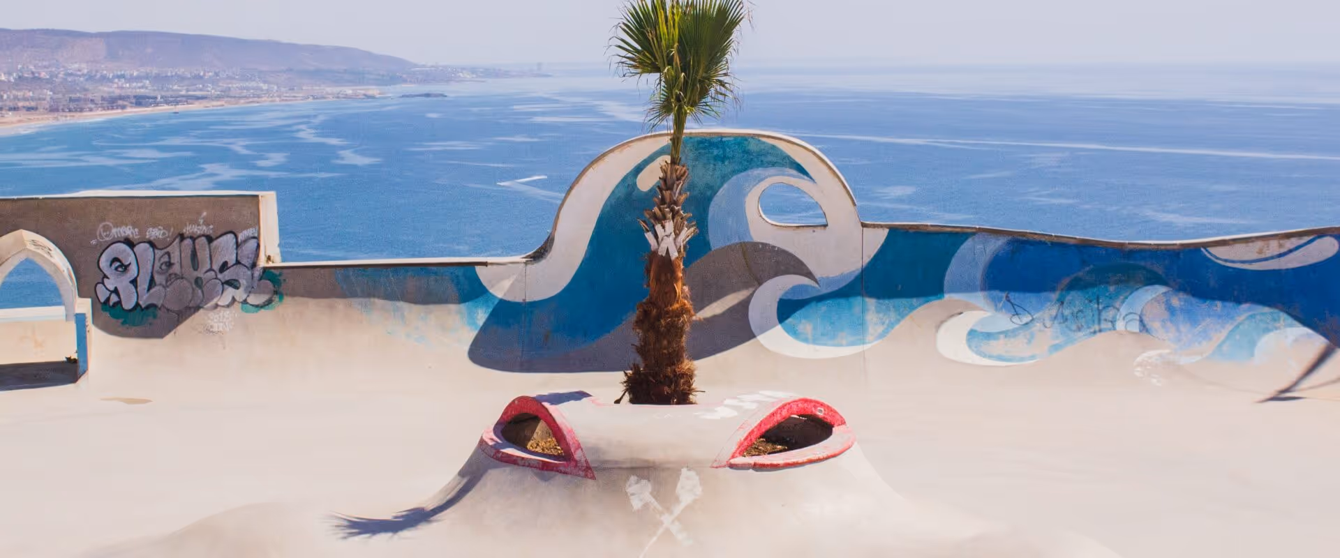 Skate park with a palm tree in the center and blue wave mural along the concrete walls, overlooking a coastal ocean view.