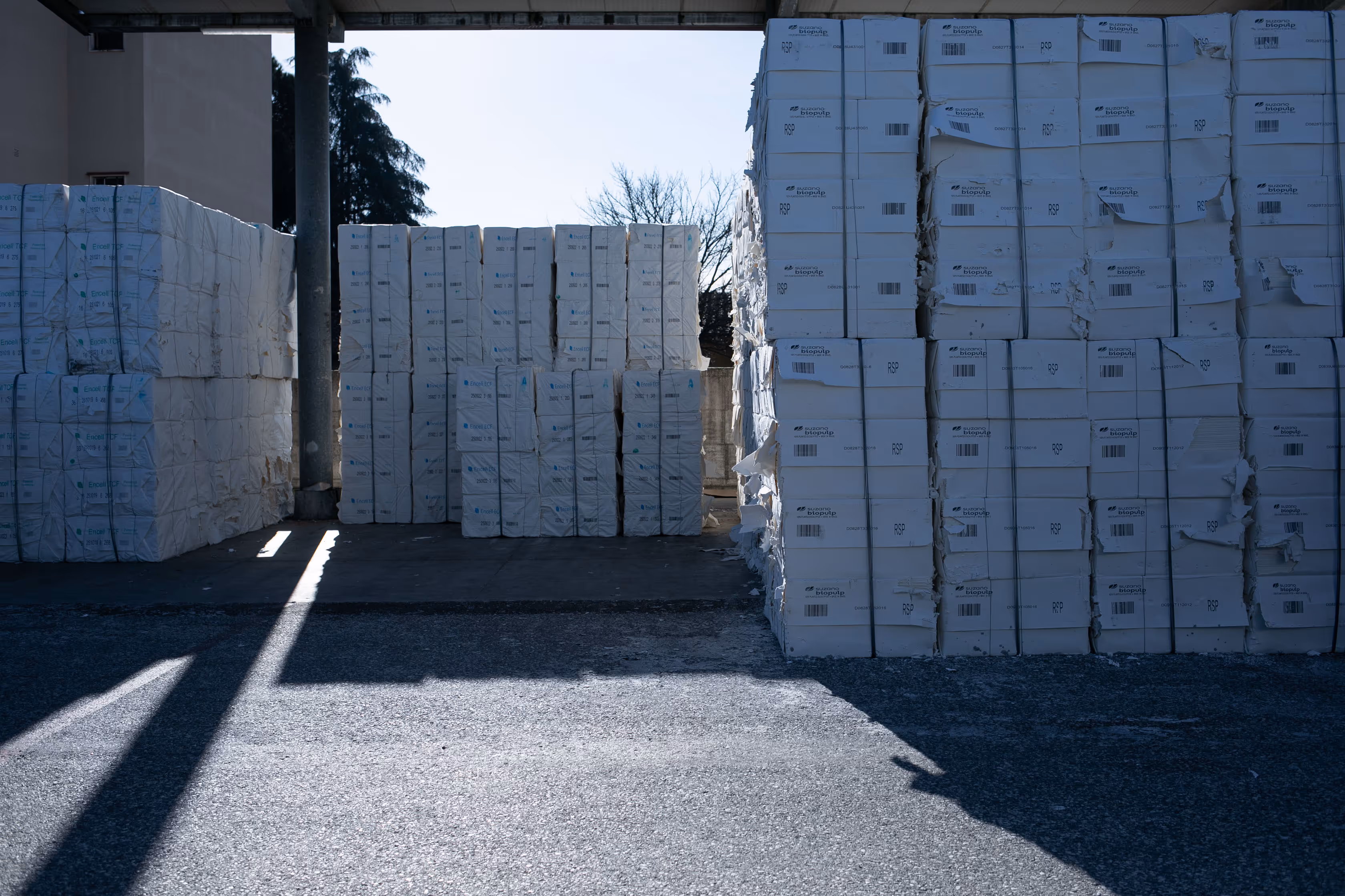 Cellulosa impilata all'aperto sotto una struttura, presumibilmente in un magazzino o area di stoccaggio industriale.
