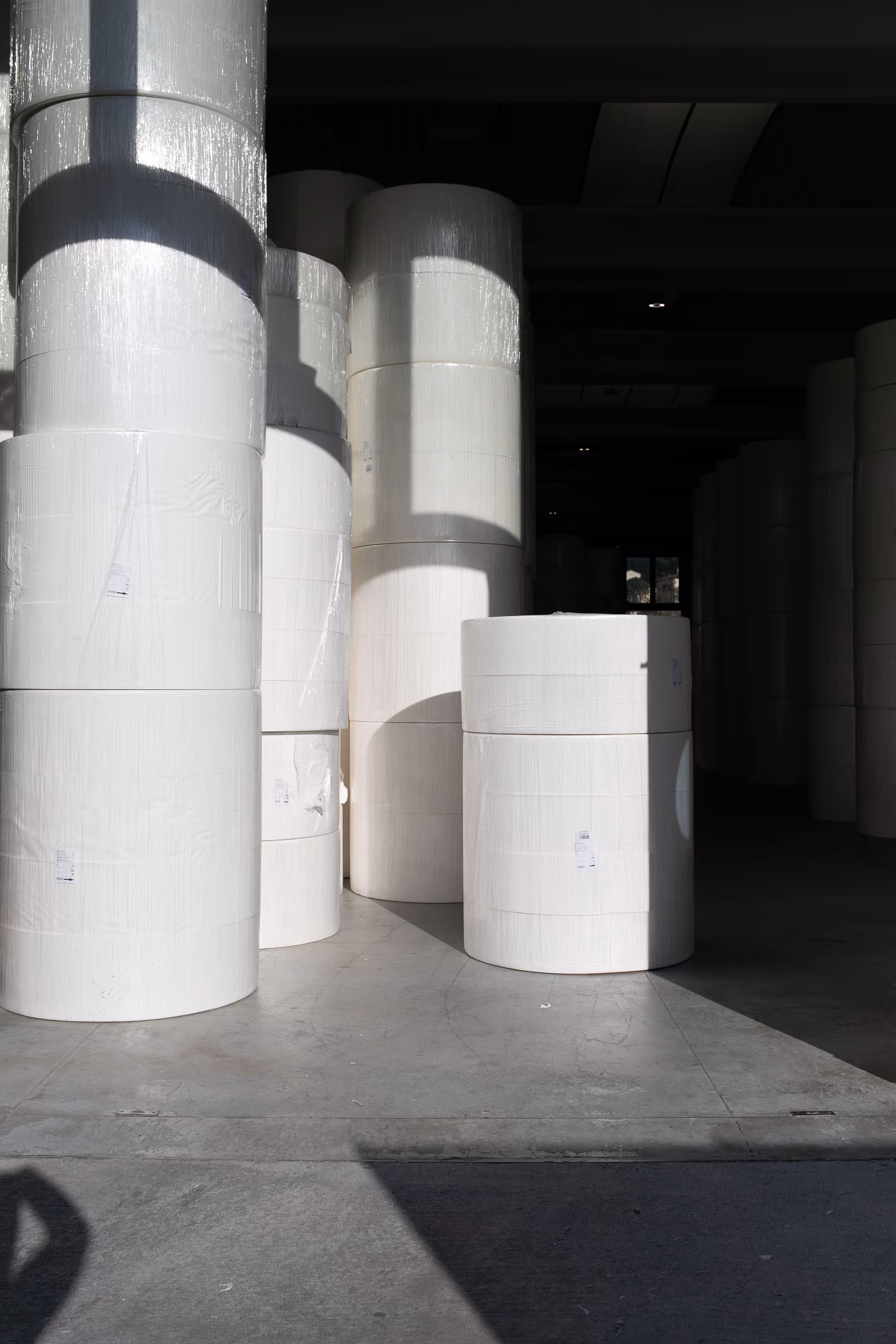 Bobine di 100% pura cellulosa impilate in un magazzino illuminato da luce naturale con ombre nette.