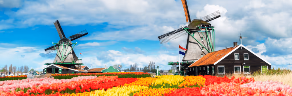 A field of colorful tulips in the foreground, with two traditional windmills behind them. The windmills and a small Dutch house are set against a blue, cloudy sky.