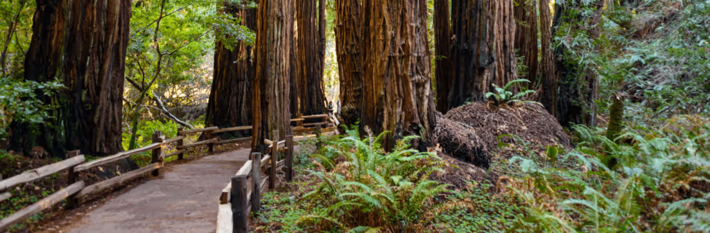 Bleisure Destinations for Business Travelers