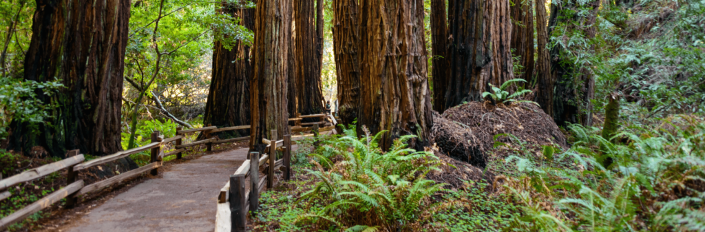 Bleisure Destinations for Business Travelers