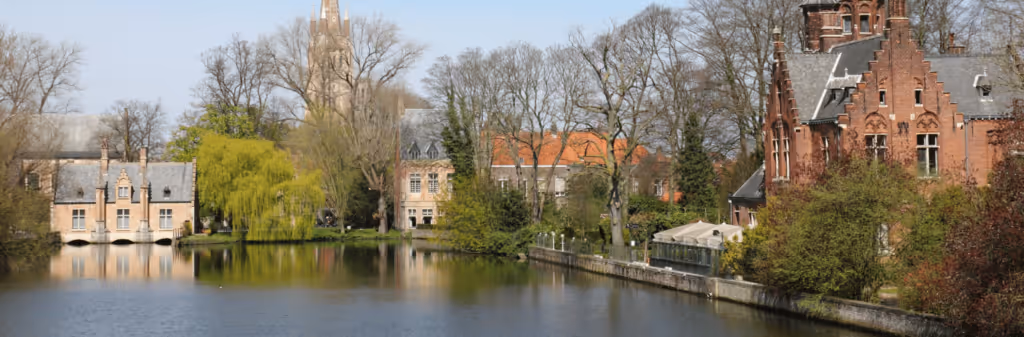 A calm lake reflects historic brick buildings and trees under a clear sky in a European town.