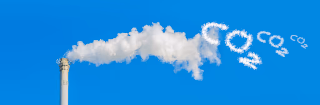 reduce carbon emissions from business travel