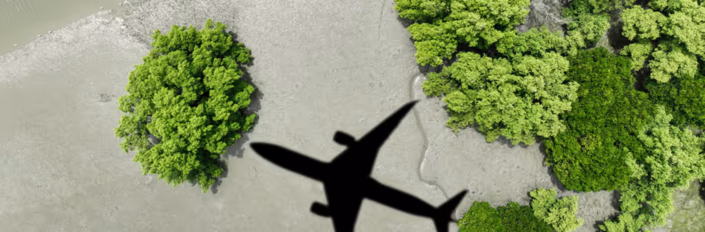 reduce carbon emissions from business travel