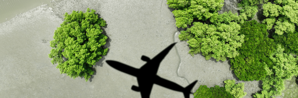 reduce carbon emissions from business travel
