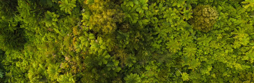 A Smarter Way to Travel Sustainably