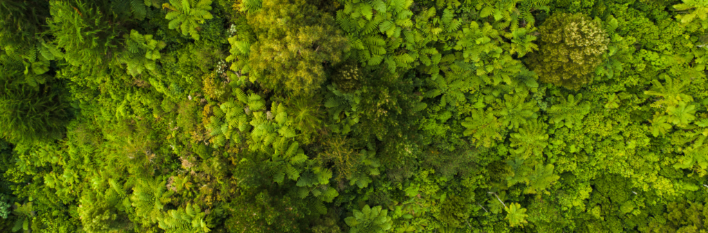 A Smarter Way to Travel Sustainably