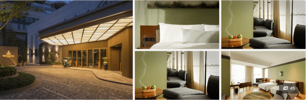 Eco-Friendly Business Hotels