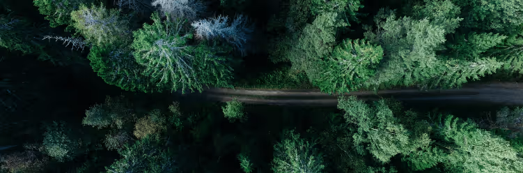 Corporate Guide | Dyme