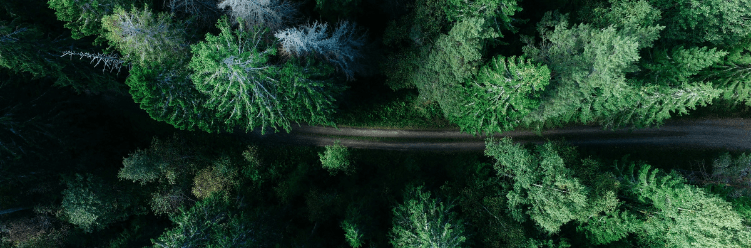 Corporate Guide | Dyme