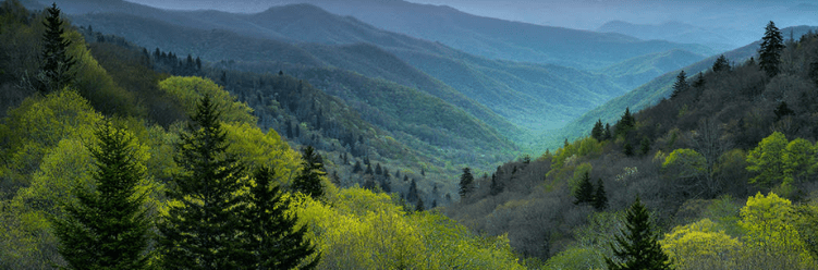 12 National Parks: Great Smoky Mountains National Park