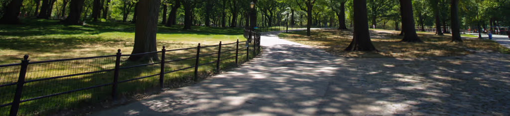 A sunlit path in a park lined with trees and a black metal fence, casting dappled shadows on the ground.