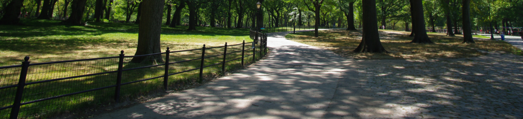 A sunlit path in a park lined with trees and a black metal fence, casting dappled shadows on the ground.