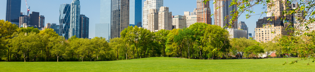 A green lawn and trees in a city park with tall skyscrapers in the background on a sunny day.
