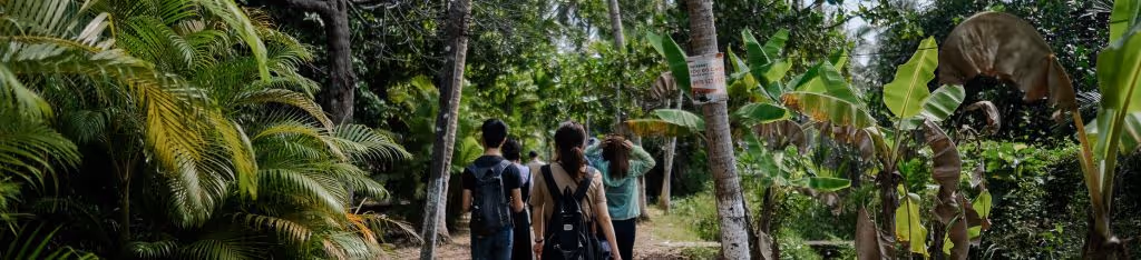 Four people walk along a narrow dirt path surrounded by lush green trees and tropical plants.